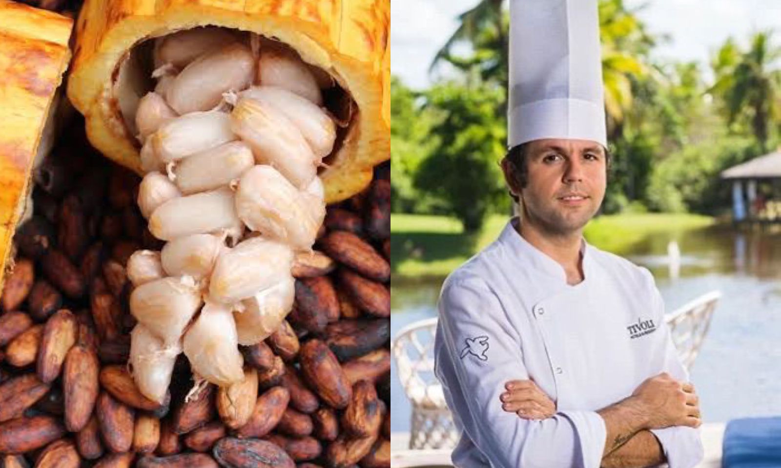 Imagem - Alta gastronomia em Belém transforma cacau em experiência de Páscoa com valor econômico