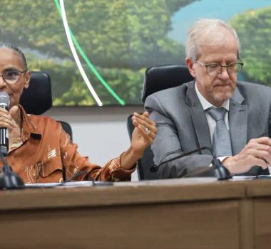 Imagem - Governo destina R$ 350 milhões do Fundo Amazônia para bioeconomia e inovação