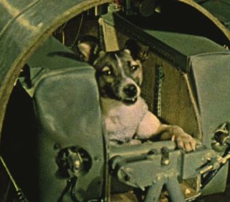 Imagem - Da rua de Moscou ao espaço: a história de Laika volta à tona com novas missões lunares