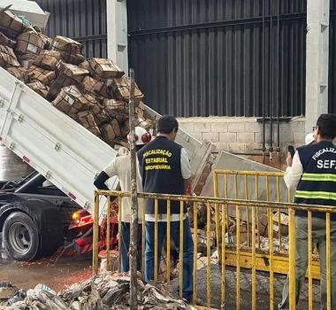 Imagem - Semana Santa: mais de 9 toneladas de pescado irregular é descartado no Pará