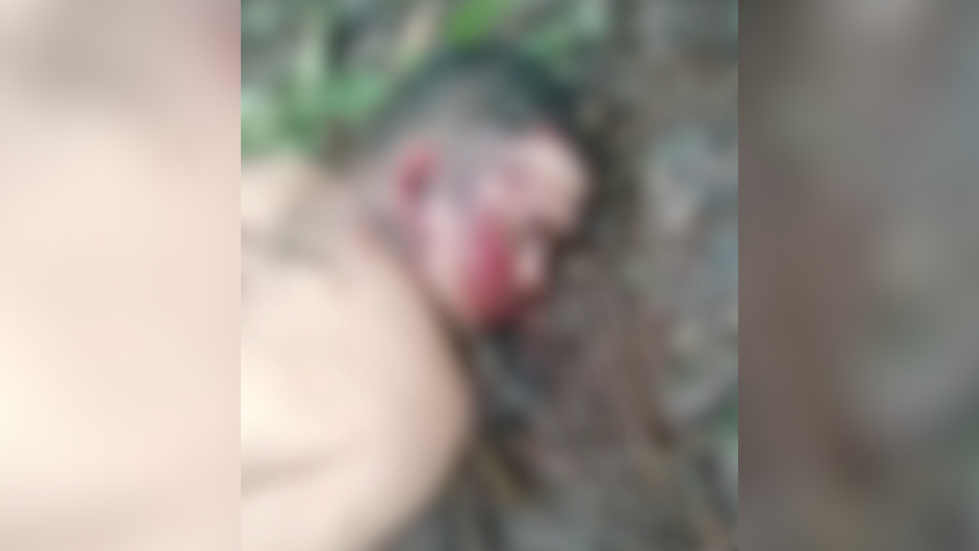 Imagem - Homem é encontrado morto com mãos amarradas, em Marituba