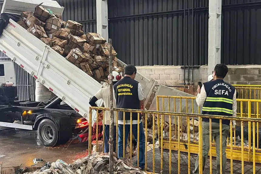 Semana Santa: mais de 9 toneladas de pescado irregular é descartado no Pará - 