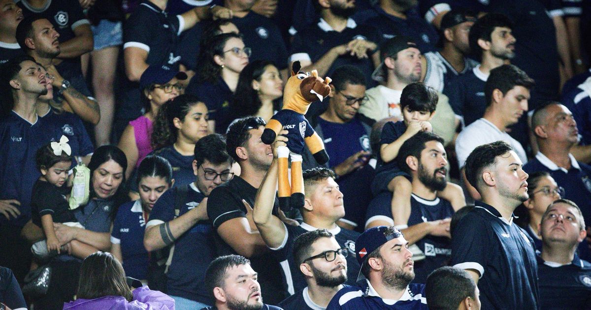 Torcida azulina no jogo contra o Santos, pelo Brasileirão -