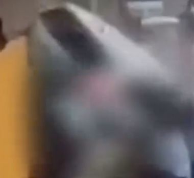 Imagem - Motorista perde controle, invade calçada e mata duas crianças, em SP