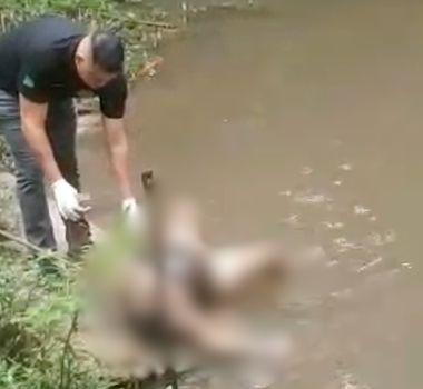 Imagem - Corpo de mulher é encontrado em rio na Região Metropolitana de Belém