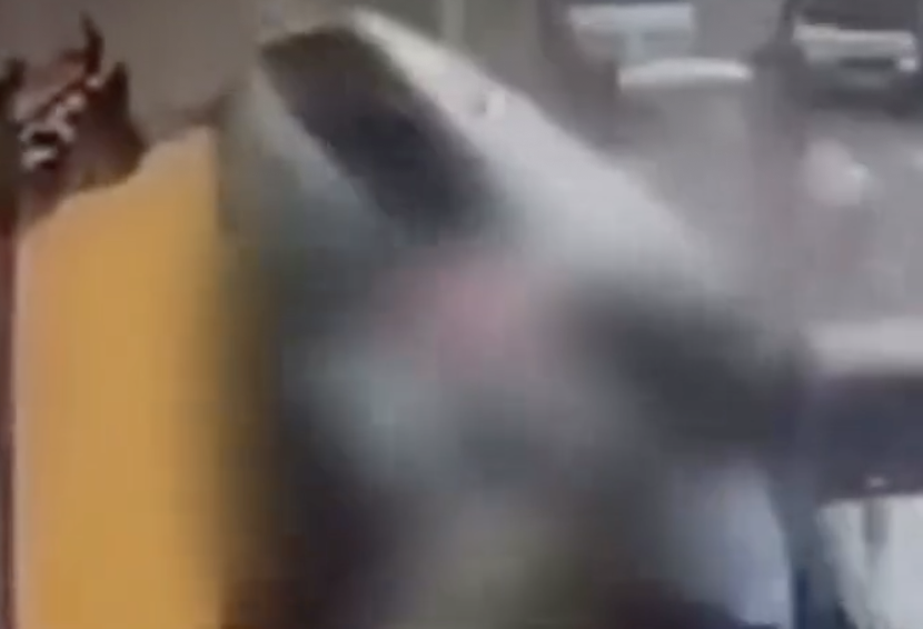 Outras duas vítimas foram socorridas após o acidente em Diadema