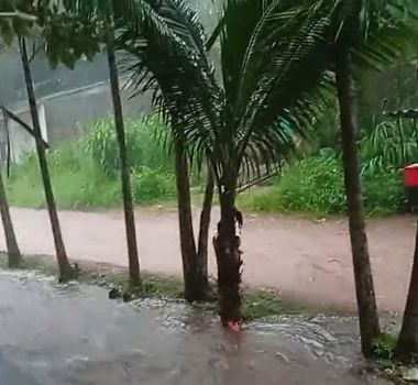 Imagem - Enxurrada e alagamento atingem a 5ª Rua do Tapanã durante chuva forte em Belém