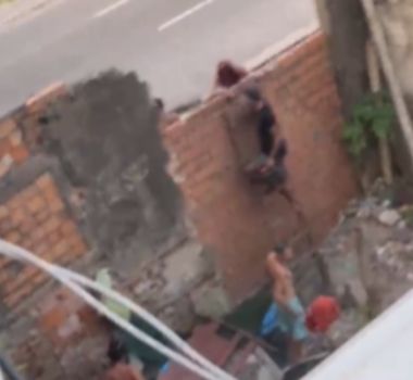 Imagem - 'Saúde fragilizada pelo mau cheiro e sujeira': terreno abandonado preocupa moradores no Telégrafo