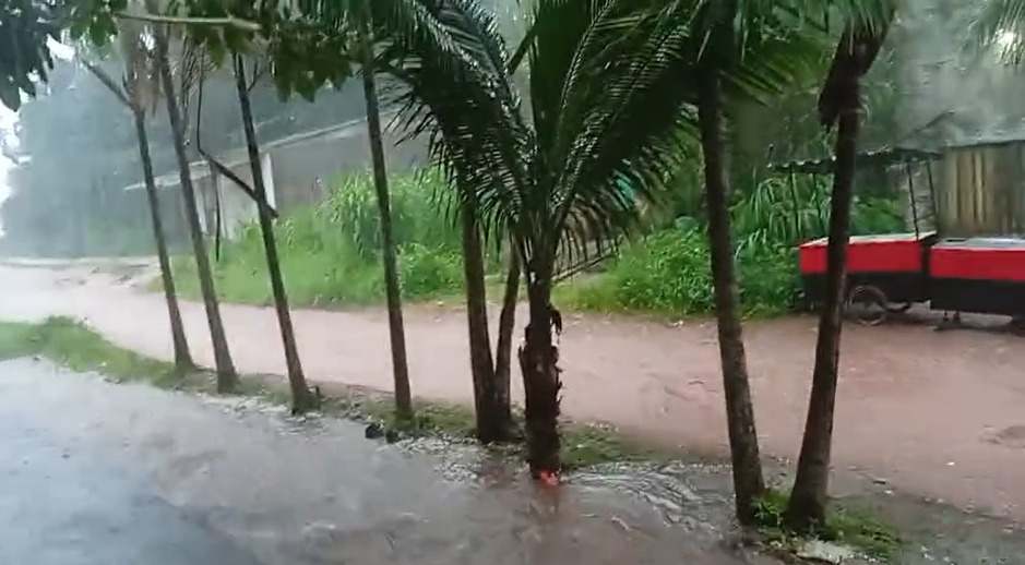 (5º Rua do bairro Tapanã)