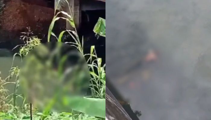 Corpo é encontrado no canal do Galo, no bairro do Barreiro, em Belém