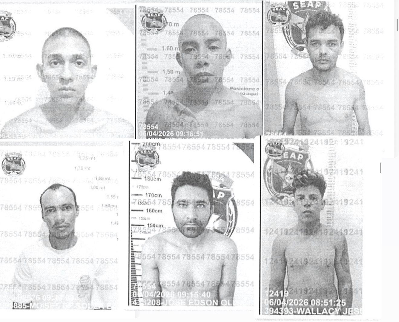 Fotos de divulgação 