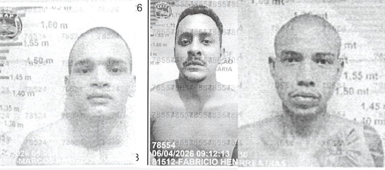 Fotos de divulgação 