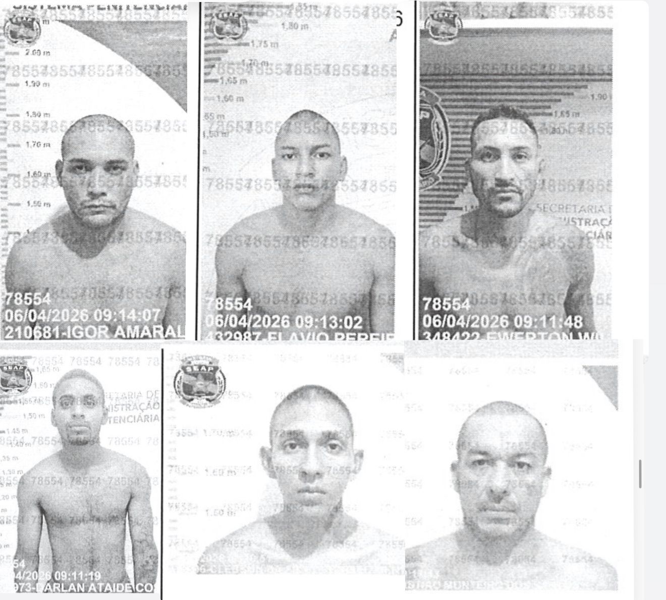 Fotos de divulgação 