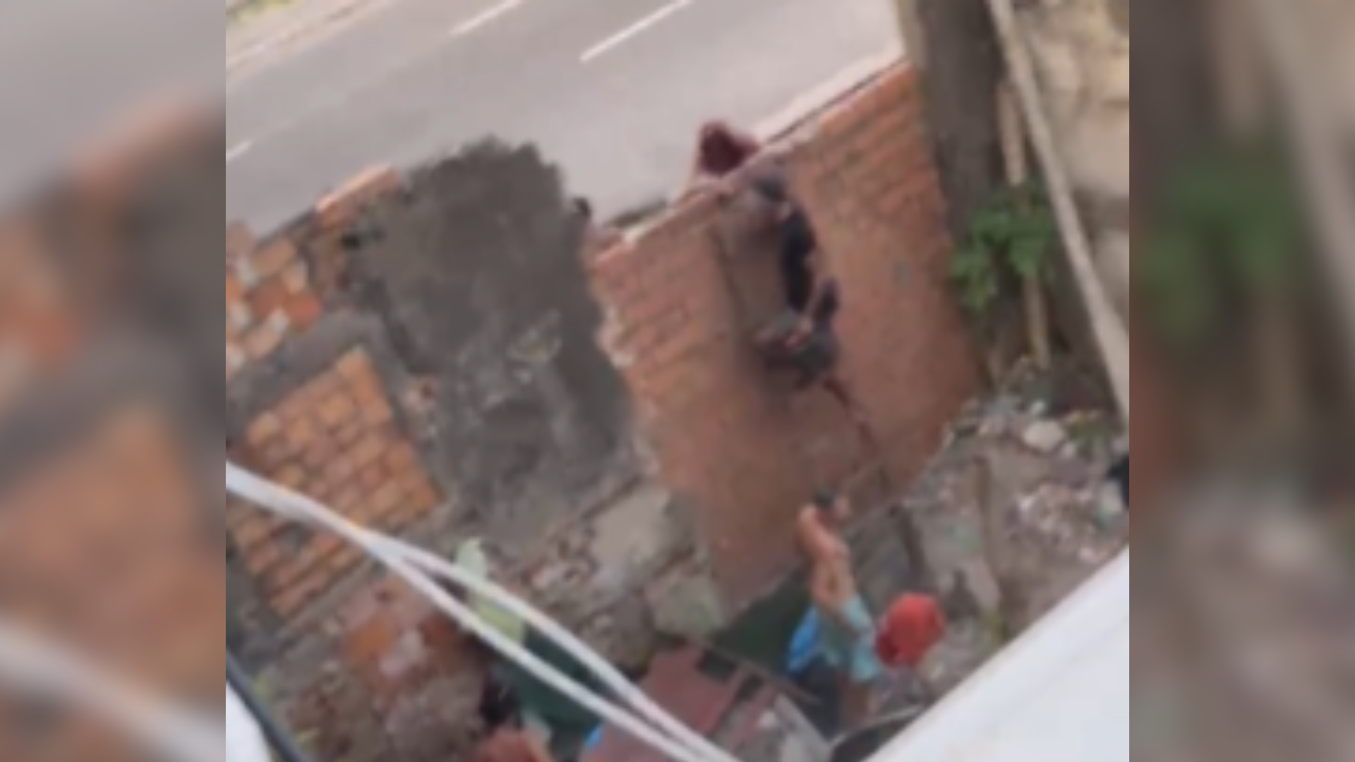 Área invadida por usuários de drogas afeta rotina de famílias e saúde de idosa na Passagem Americano