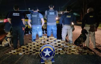 Ação conjunta apreende 91 kg de skunk em caminhão na BR-316, no Pará