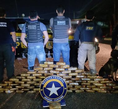 Imagem - Ação conjunta apreende 91 kg de skunk em caminhão na BR-316, no Pará