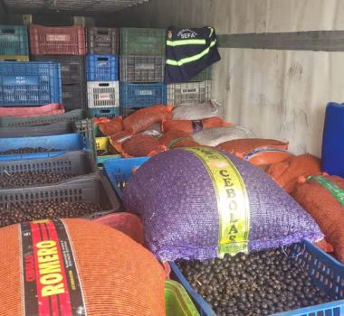 Imagem - Sefa apreende mais de 43 toneladas de açaí e 63 mil litros de óleo diesel em operações no Pará