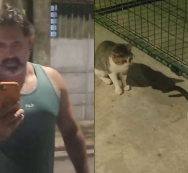 Imagem - Morador de Belém critica homem por alimentar gatos de rua
