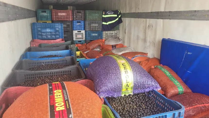 Imagem - Sefa apreende mais de 43 toneladas de açaí e 63 mil litros de óleo diesel em operações no Pará