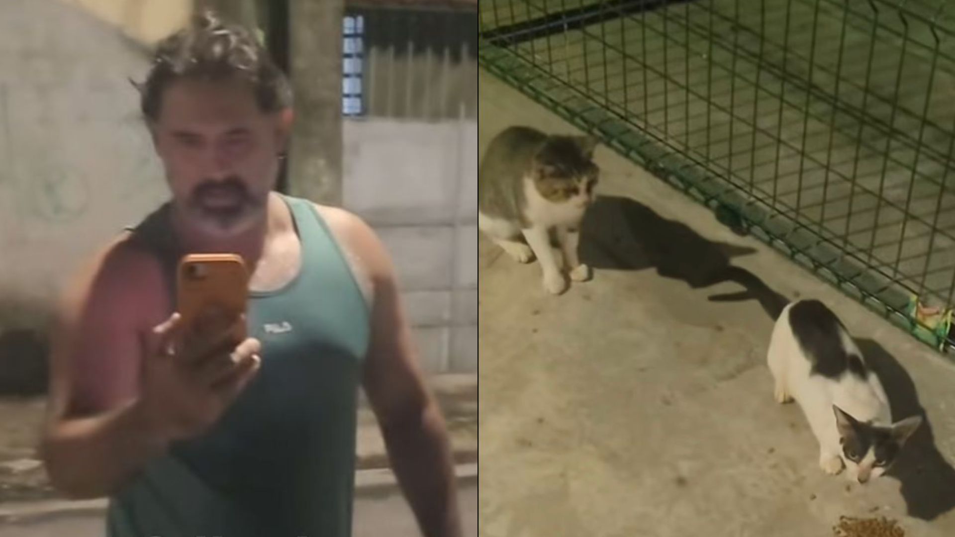 Morador de Belém critica homem por alimentar gatos de rua