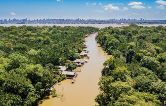 Projeto promove imersão no universo da parasitologia em meio a floresta amazônica