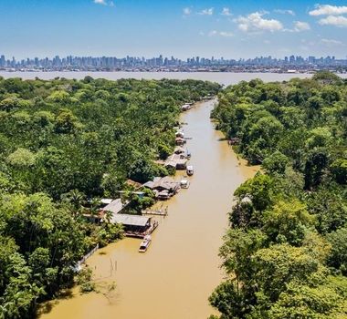 Imagem - Projeto promove imersão no universo da parasitologia em meio a floresta amazônica