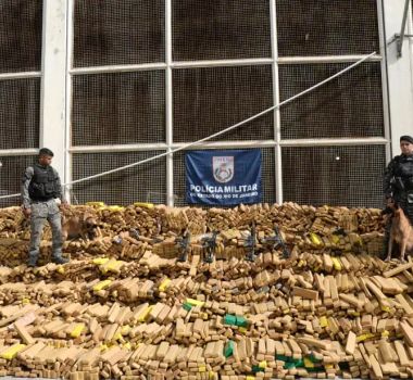 Imagem - “Incrível Hulk”: cão farejador encontra quase 50 toneladas de maconha no Complexo da Maré