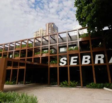 Imagem - Sebrae/PA oferece capacitações gratuitas em abril; veja quais e como participar