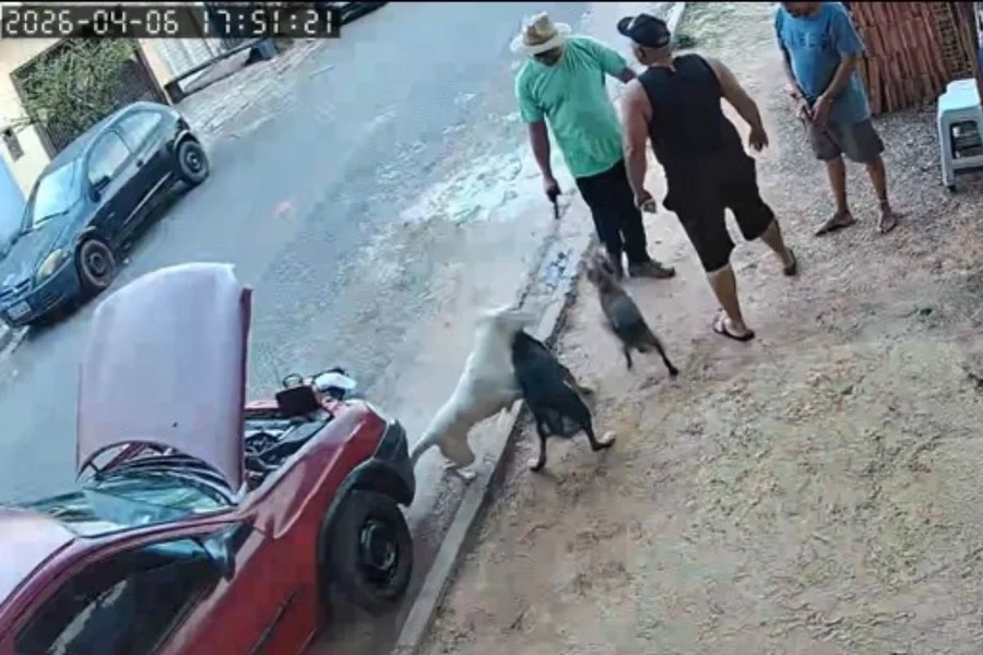 (Imagens do circuito interno flagraram o momento do crime) 