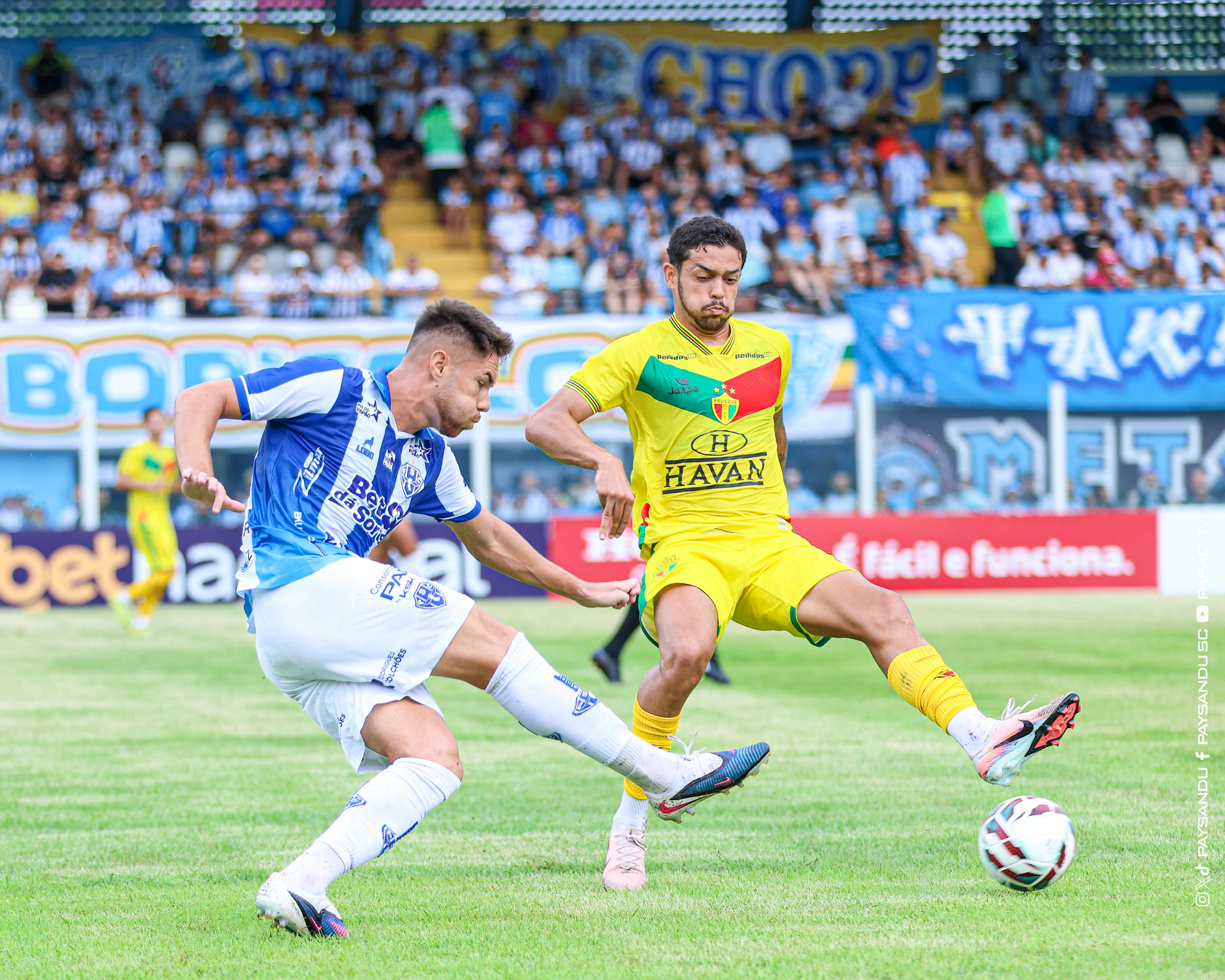 Paysandu x Brusque