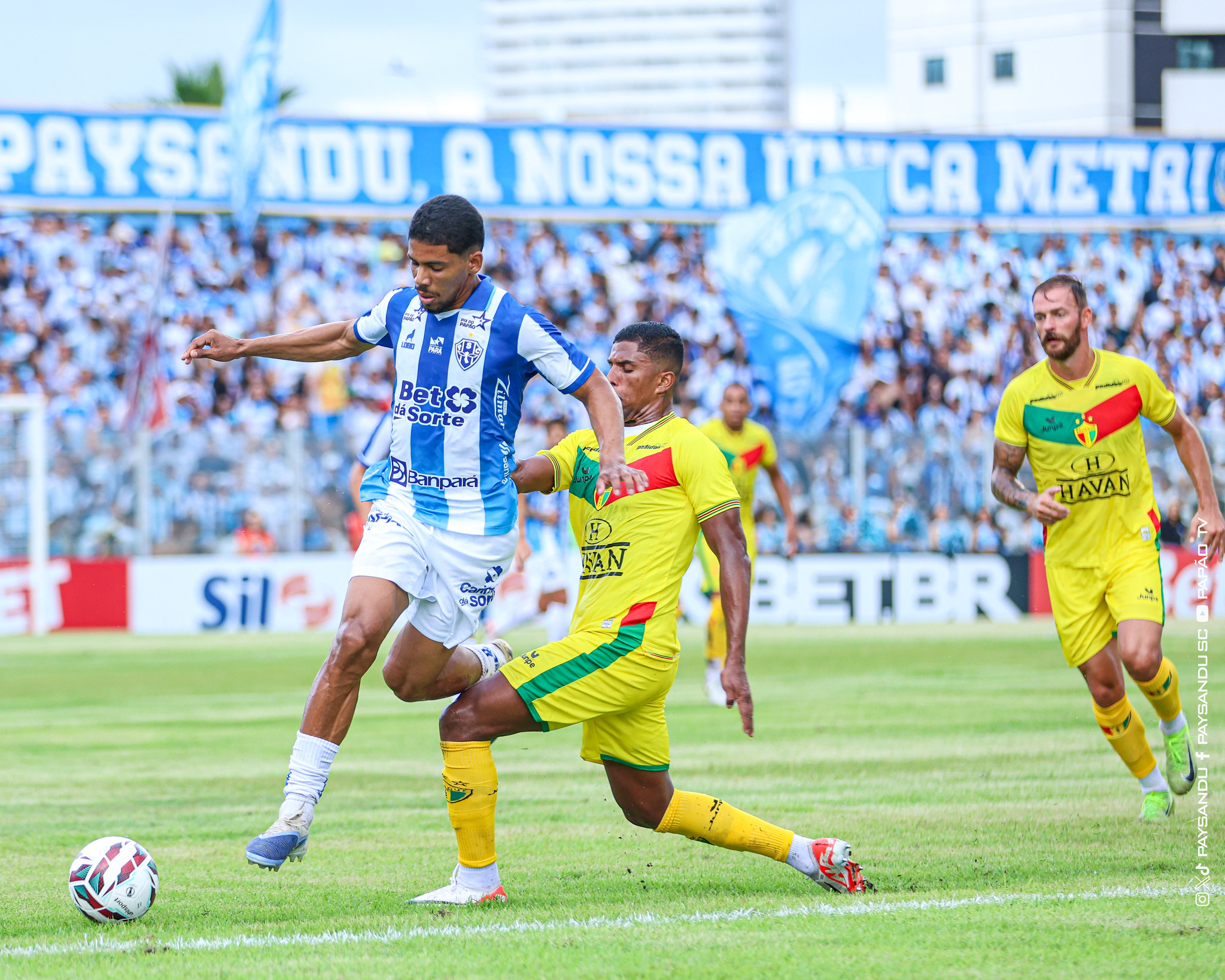 Paysandu x Brusque