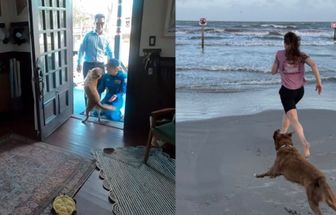 Astronauta compartilha reencontro com pet após missão Artemis II