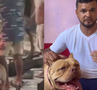 Imagem - Vídeo: Pitbull assusta frequentadores de praça em Castanhal; dono se pronuncia sobre o incidente