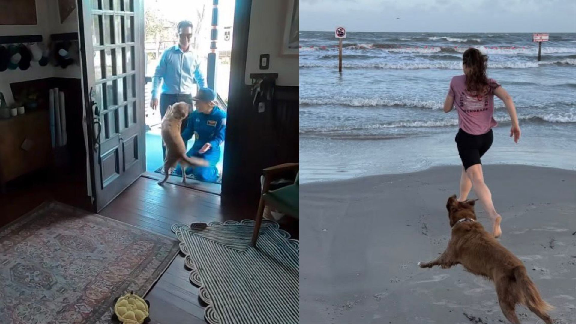 Astronauta compartilha reencontro com pet após missão Artemis II