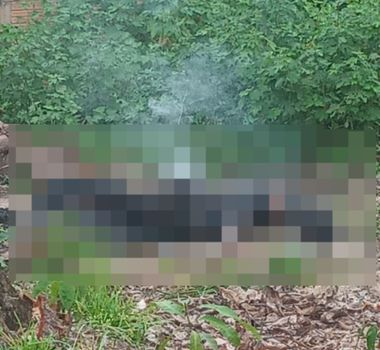 Imagem - Corpo de mulher é encontrado carbonizado em Jacundá