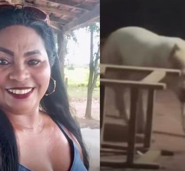Imagem - Mulher morre após ser atacada pelo próprio cachorro no Maranhão