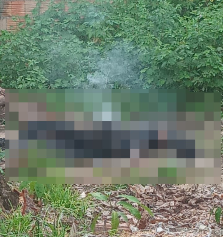 Imagem - Corpo de mulher é encontrado carbonizado em Jacundá