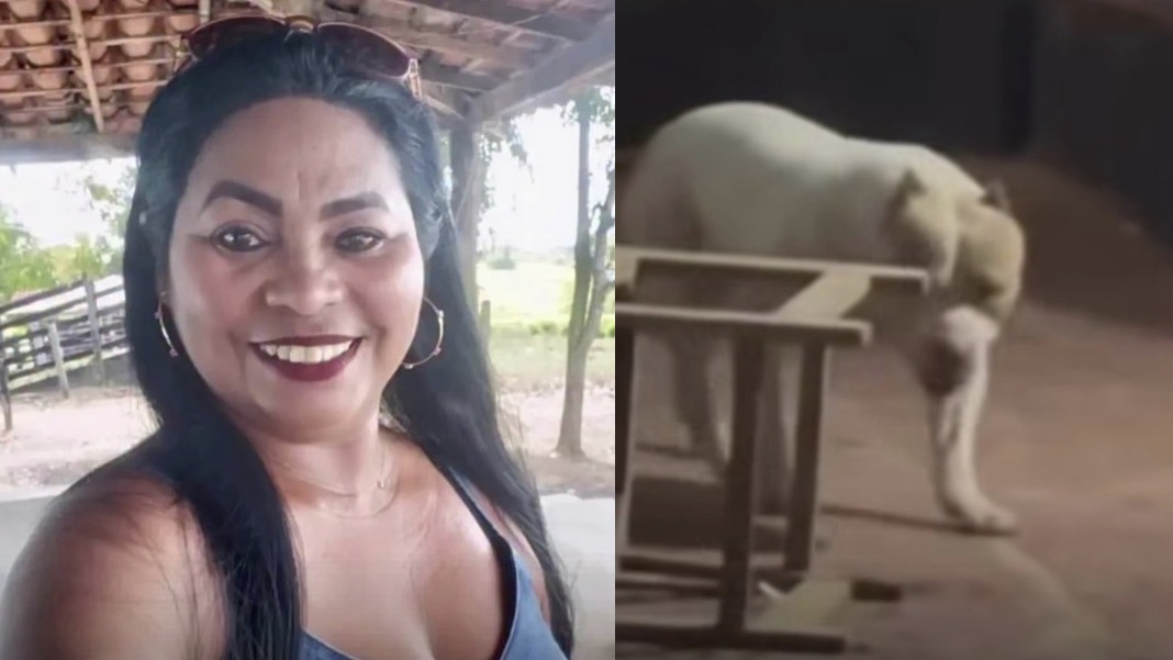 Mulher morre após ser atacada pelo próprio cachorro no Maranhão