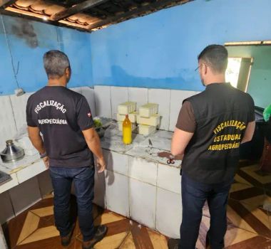 Imagem - Queijarias clandestinas são fechadas e produtos são apreendidos no Pará