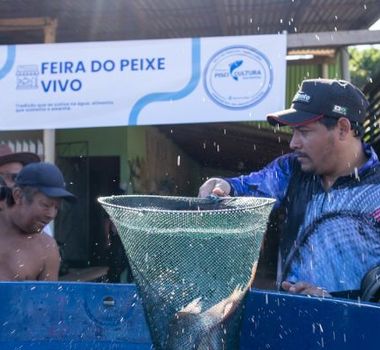 Imagem - Feira do peixe movimenta renda de famílias em Barcarena e vira nova aposta local