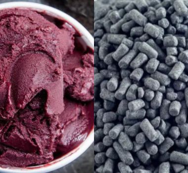 Imagem - Mulher acusada de envenenar namorado com açaí é presa em hotel no interior de SP