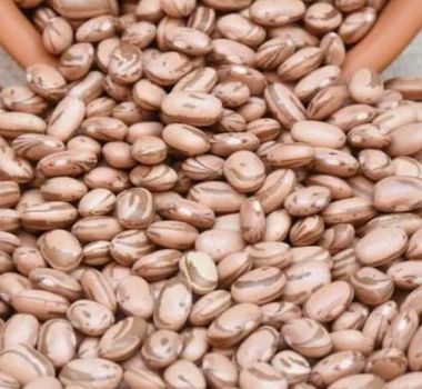 Imagem - Preço do feijão dispara e puxa alta da cesta básica em Belém