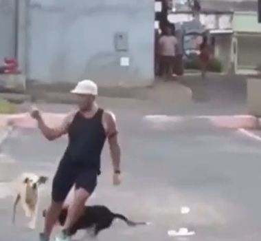 Imagem - Corredor é cercado por cães e acaba mordido durante treino, em Minas