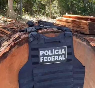 Imagem - PF combate exploração ilegal de madeira e garimpo em terra indígena no Pará