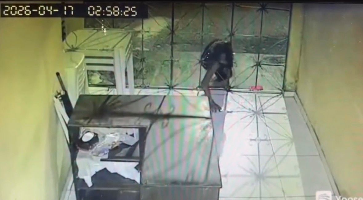 Comércios são alvo de invasão durante a madrugada em Bragança