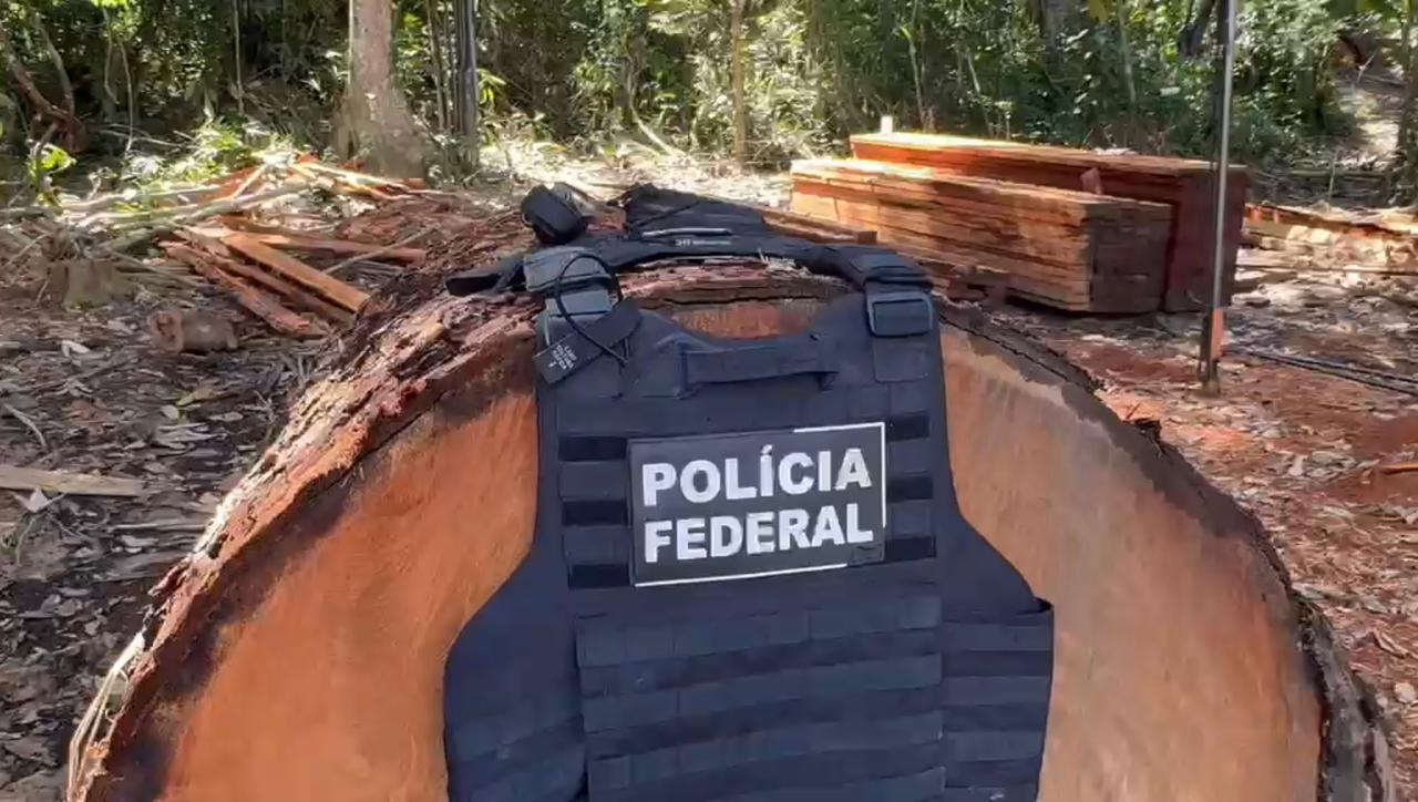 Imagem - PF combate exploração ilegal de madeira e garimpo em terra indígena no Pará
