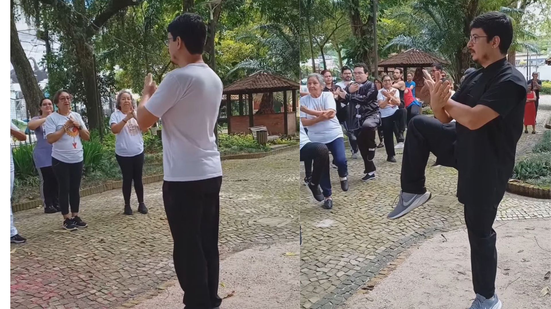 Tai Chi Chuan Gratuito em Belém Promove Bem-Estar no Horto Municipal