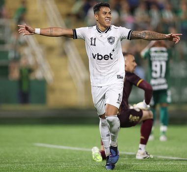 Imagem - Botafogo goleia a Chapecoense fora de casa no Brasileirão