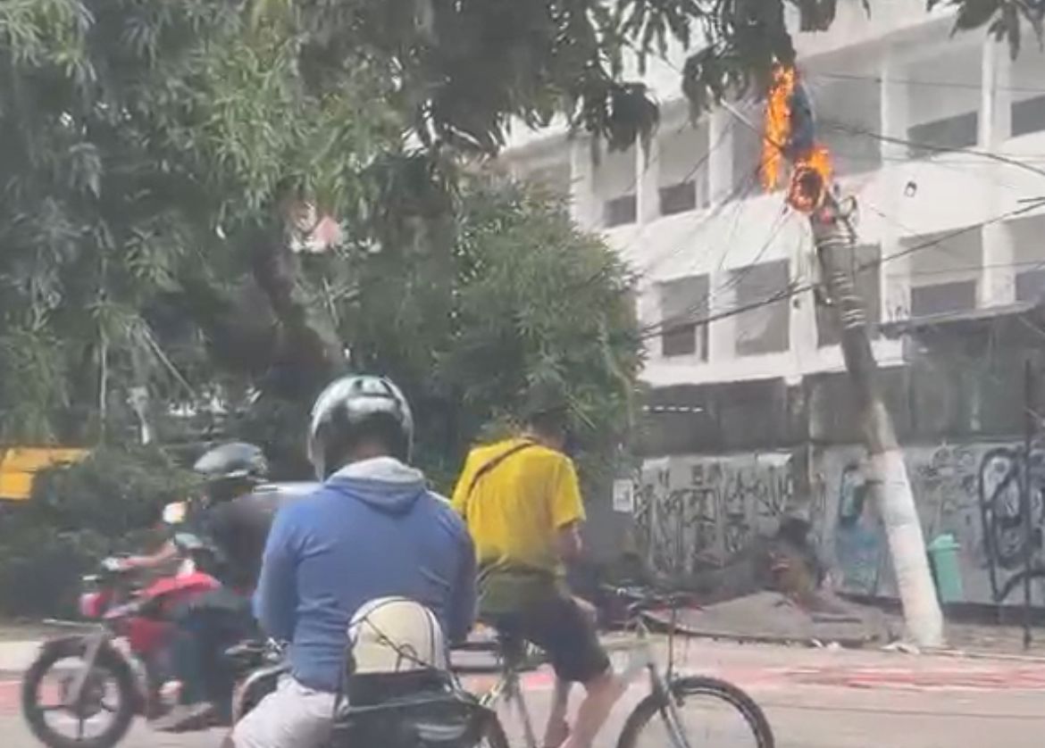 Poste pega fogo após queda de árvore - 