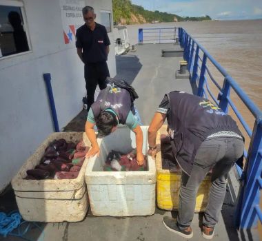 Imagem - Mais de 200 litros de açaí sem origem comprovada são apreendidos por agentes da Base Fluvial Candiru
